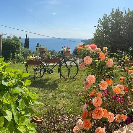 Villa Pergola -Apartment Roko 米利尼 外观 照片