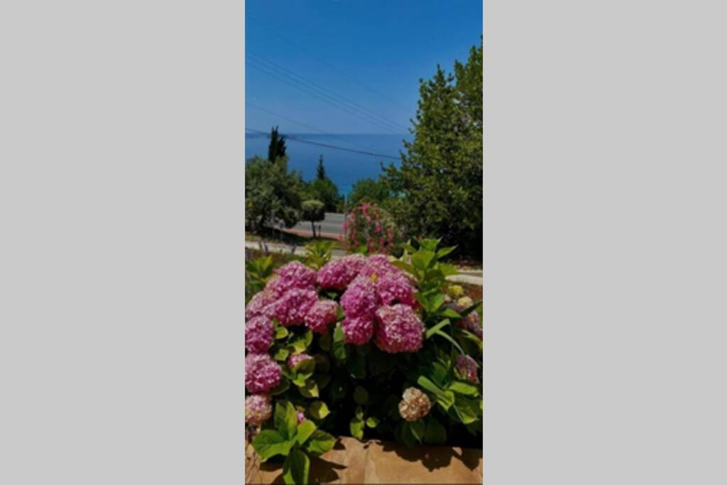 Villa Pergola -Apartment Roko 米利尼 外观 照片