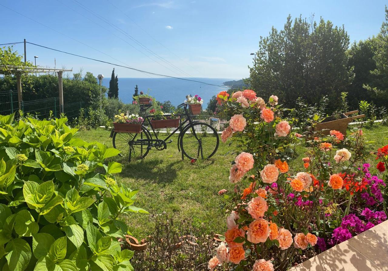 Villa Pergola -Apartment Roko 米利尼 外观 照片