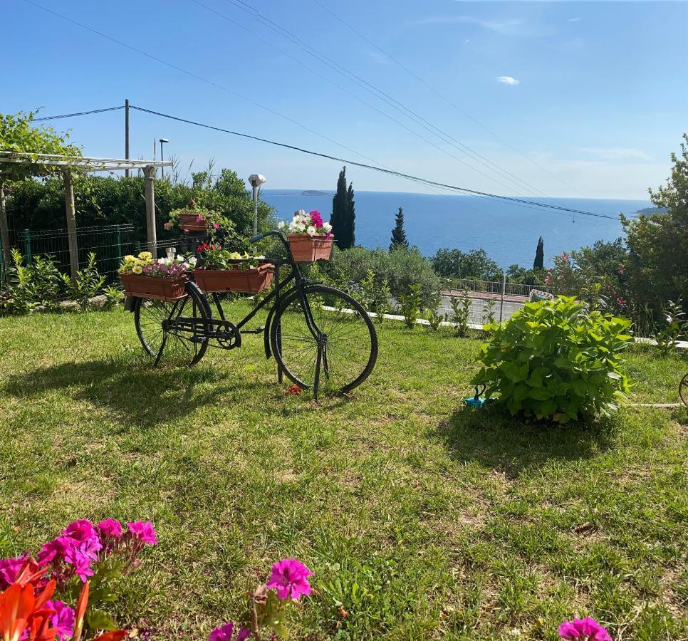 Villa Pergola -Apartment Roko 米利尼 外观 照片
